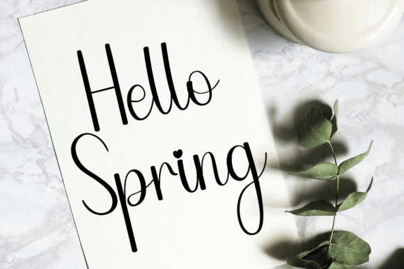 Book Signature Font - Preview 2
