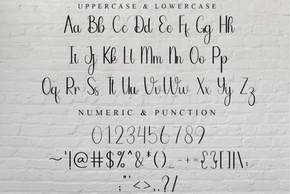 Book Signature Font - Preview 6