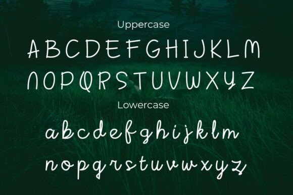 Janata Font - Preview 1