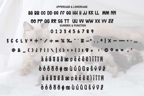 Kitten Mother Font PNG with transparent background - Preview 6