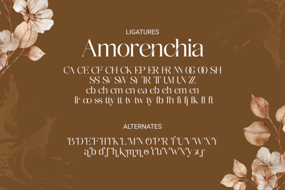 Amorenchia Font - Preview 5