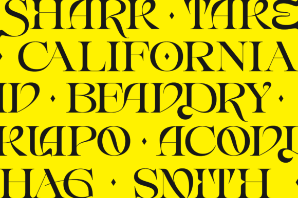 Erakov Font - Preview 6