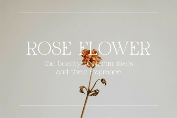 Mobes Font PNG with transparent background - Preview 2