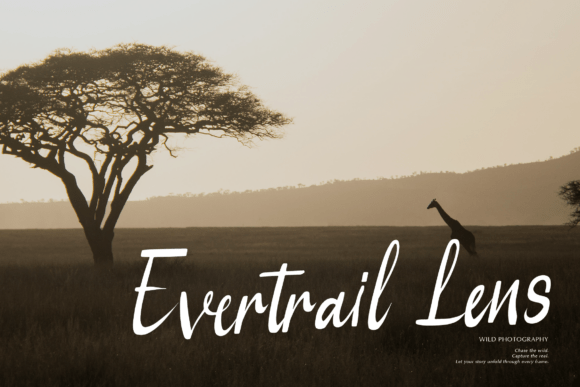 Serena Note Font PNG with transparent background - Preview 4