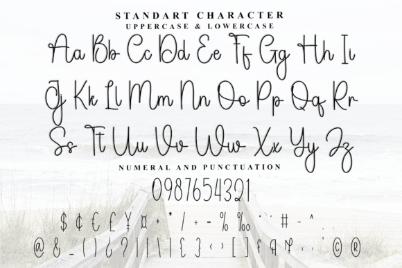 Signature Beauty Font PNG with transparent background - Preview 4