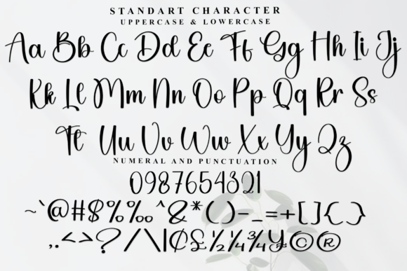 Blueberry Font - Preview 4