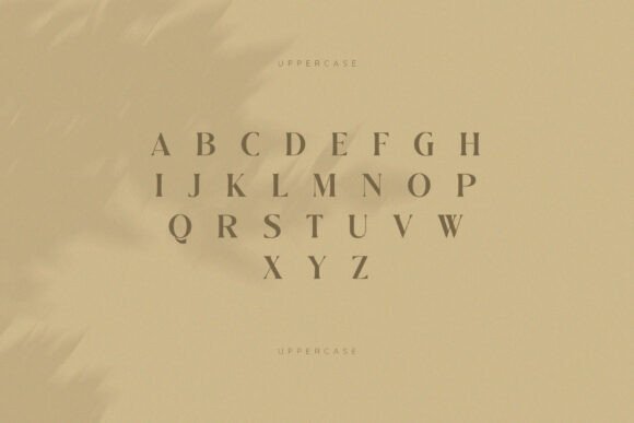 Classma Font - Preview 5