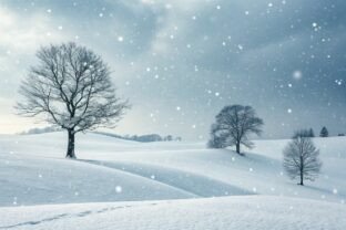 Graphic Cold Background Cold Background Design Graphic by Creativedesign · Creative Fabrica