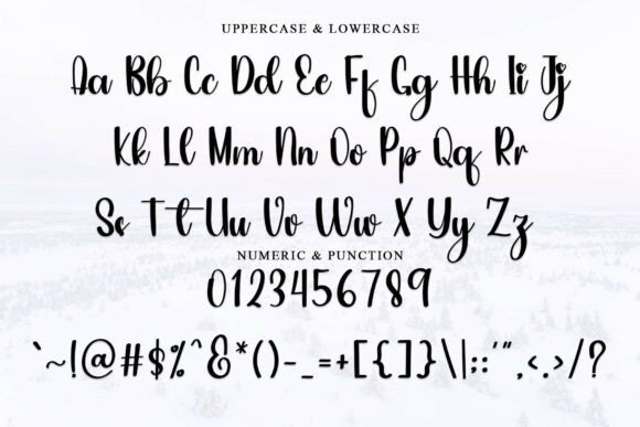 Bride Font - Preview 4
