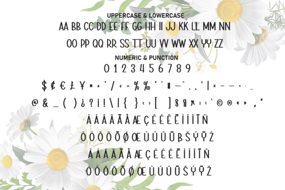 Daisy Flowers Font - Preview 6