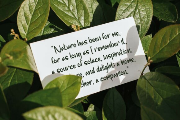 Camping Trips Font - Preview 1