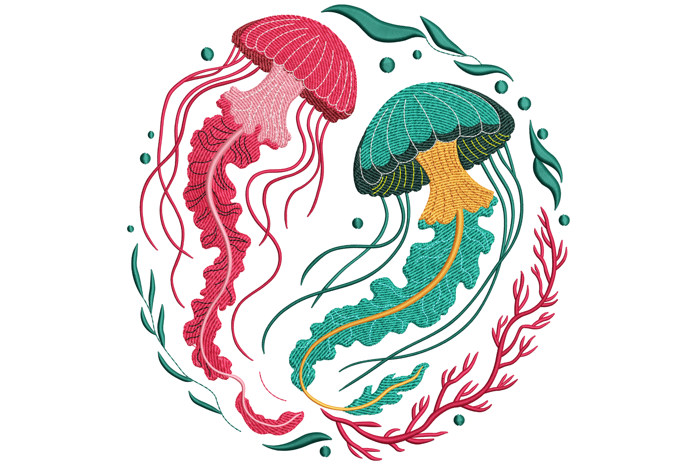 Colorful Jellyfish