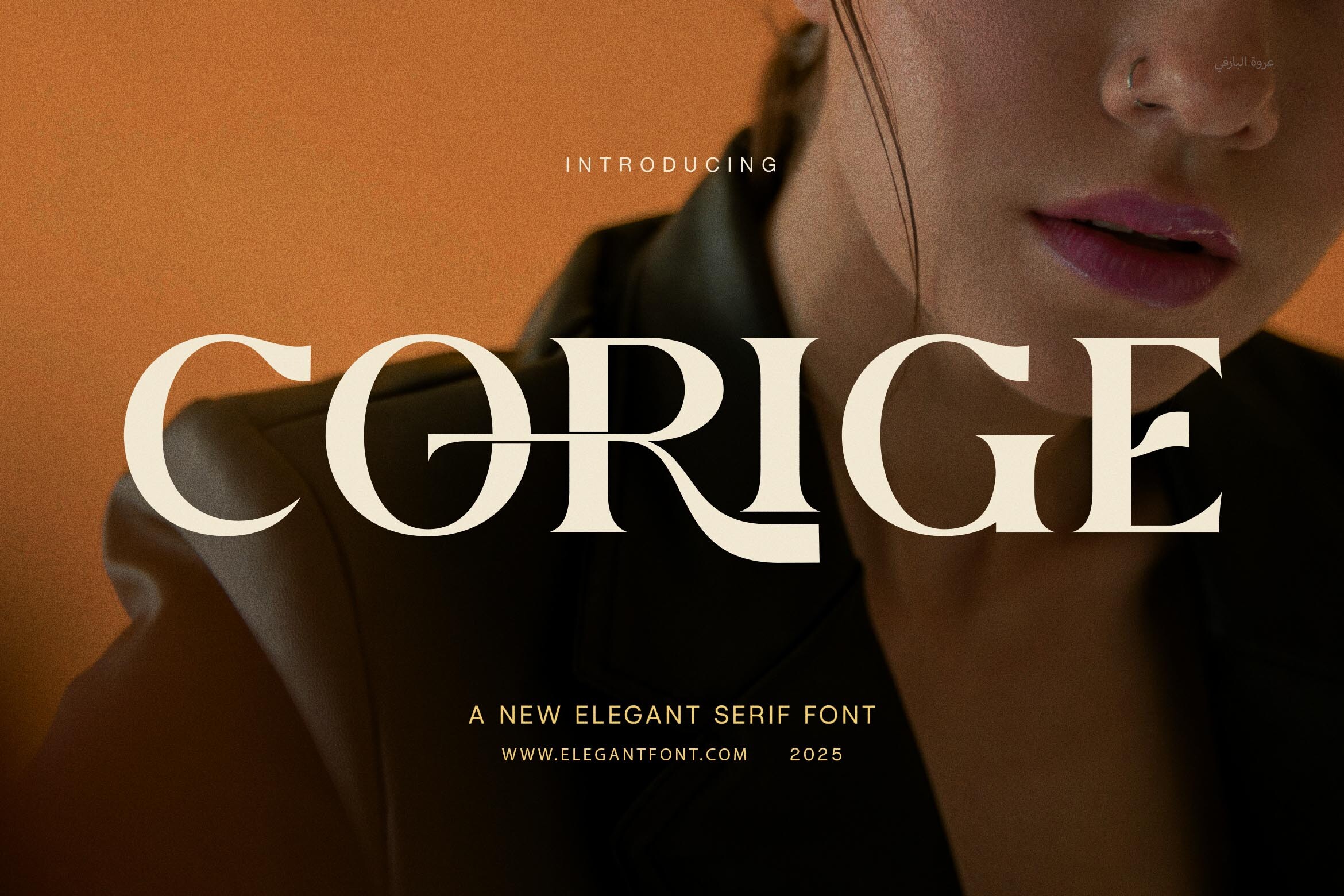 12 Best Fonts for Newsletter Text in 2026