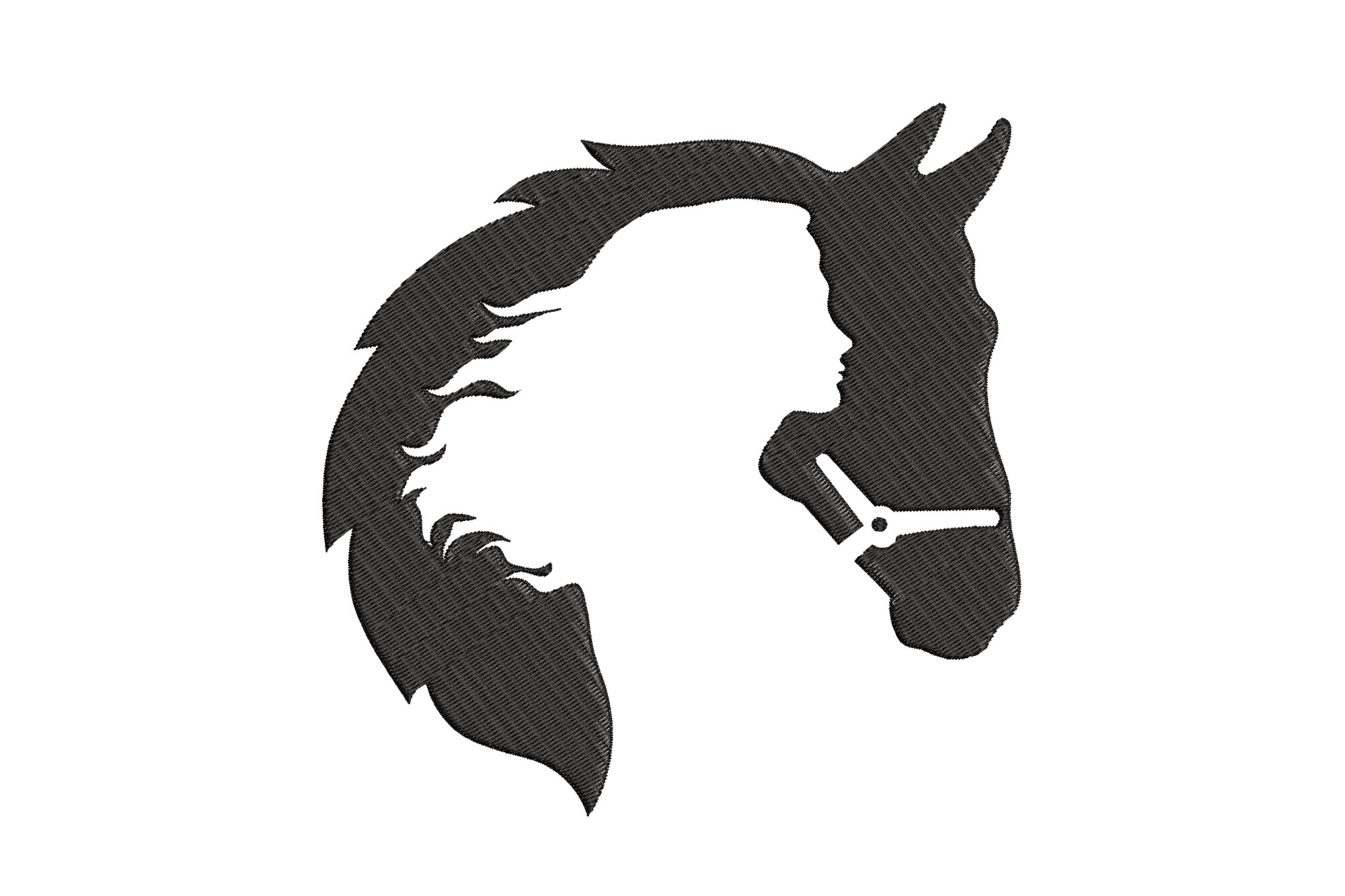 Cute Horse with Young Lady