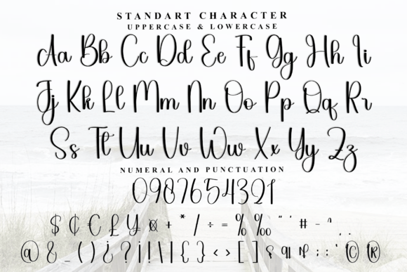 Jhonathan Wedding Font - Preview 2