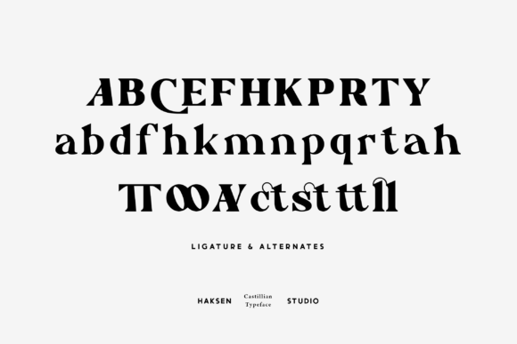 Castillian Font - Preview 5