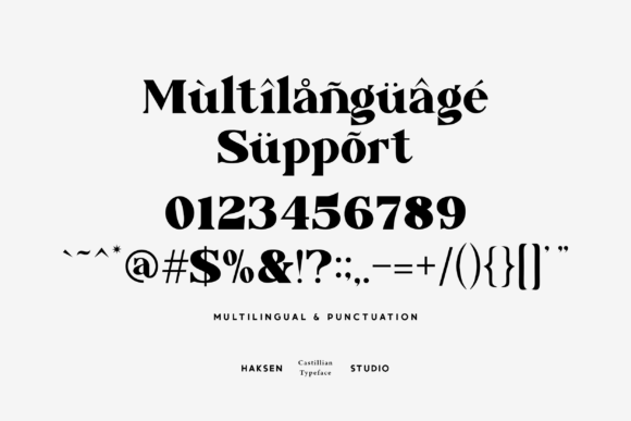Castillian Font - Preview 6