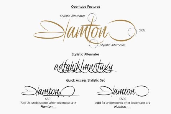 Delion Signature Font PNG with transparent background - Preview 1