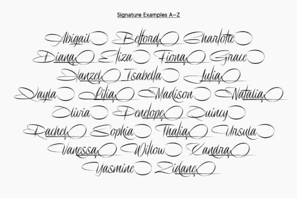Delion Signature Font PNG with transparent background - Preview 5