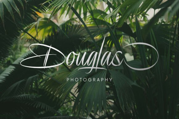 Delion Signature Font PNG with transparent background - Preview 6