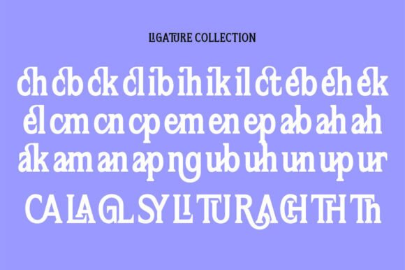 Flektura Font - Preview 4