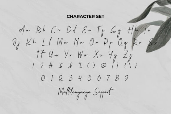 Hayden Grey Font - Preview 5