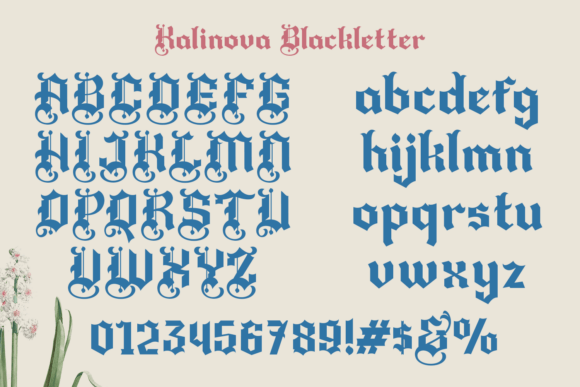 Kolinova  Font PNG with transparent background - Preview 1