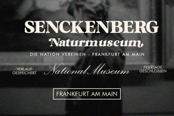 Mugello Serif Font PNG with transparent background - Preview 6