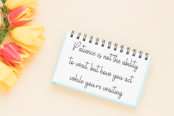 Signature Handwritten Font PNG with transparent background - Preview 3