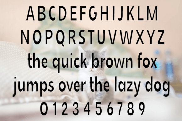 Skinny Cat Font PNG with transparent background - Preview 1
