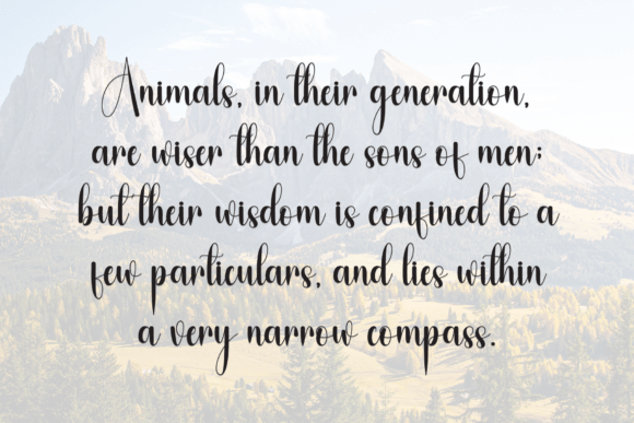 Adventure Font - Preview 5