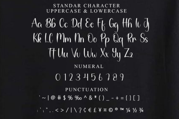 Amsterdam Font - Preview 6