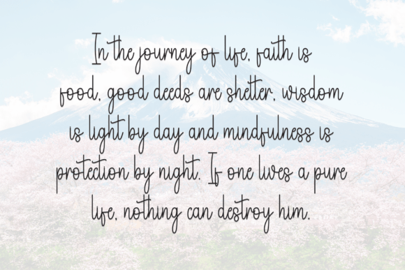 Beautiful Font - Preview 5