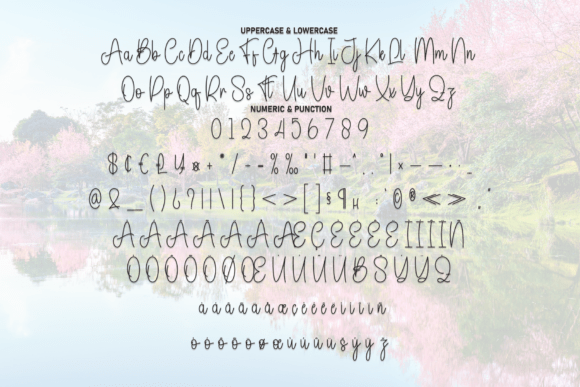 Beautiful Font - Preview 6