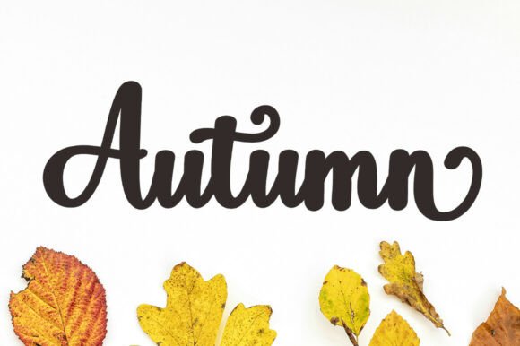 Disney Font - Preview 4