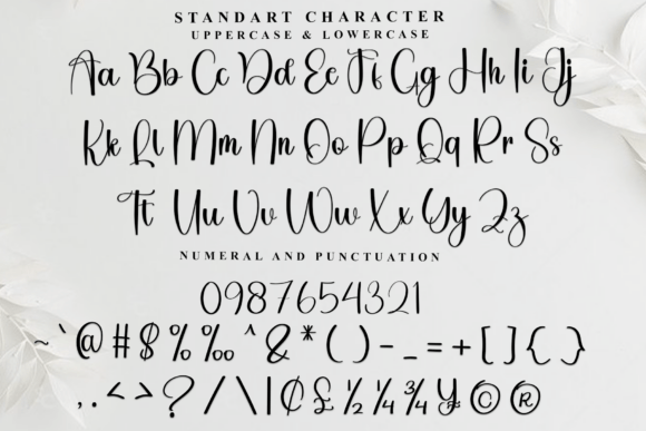 Dumpling Font - Preview 3