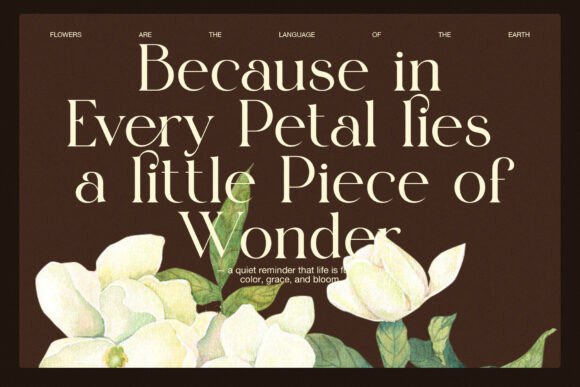 Elgins Font - Preview 5