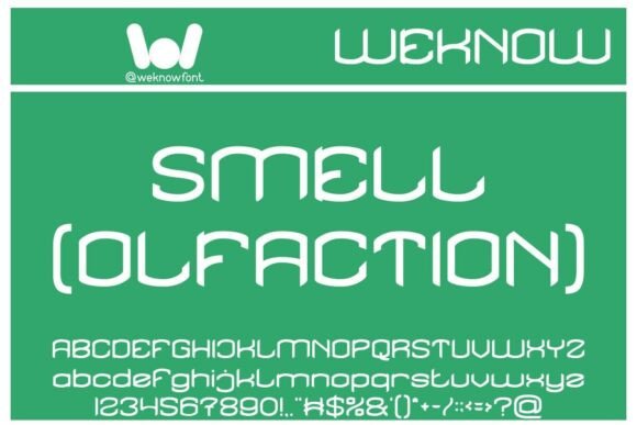 Five Senses Font - Preview 4