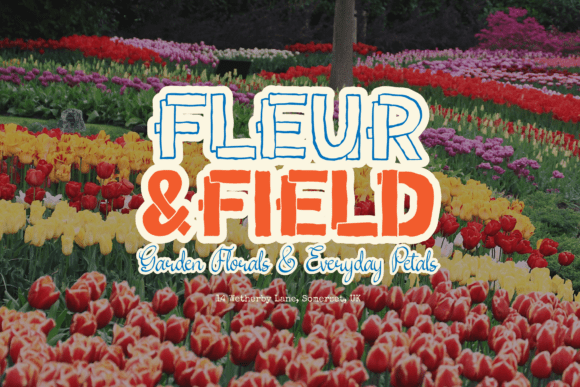 Petal Types Font PNG with transparent background - Preview 5