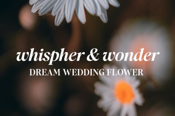 Recalling Nostalgic Font PNG with transparent background - Preview 2