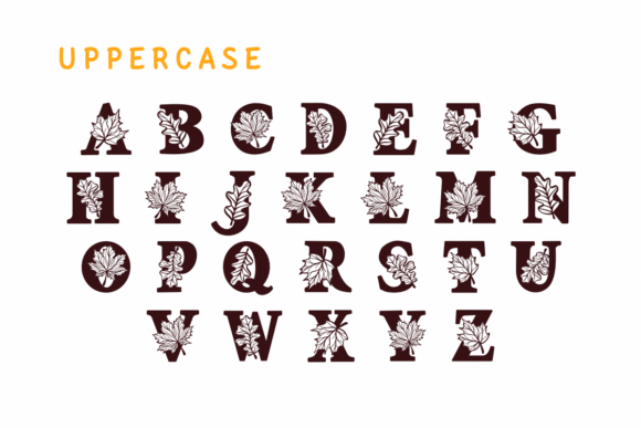 Season Fall Leaf Font PNG with transparent background - Preview 1
