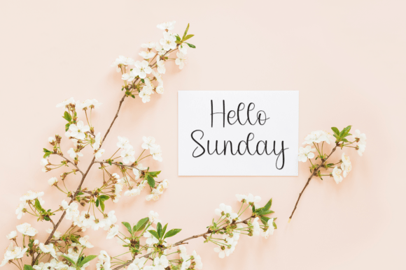 Angelina Font - Preview 4