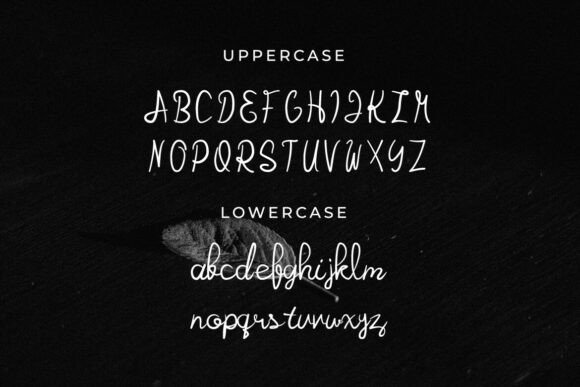 Qully Font PNG with transparent background - Preview 1