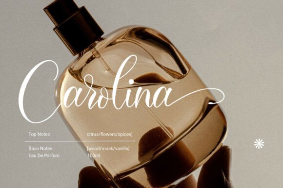 Sandara Script Font PNG with transparent background - Preview 2