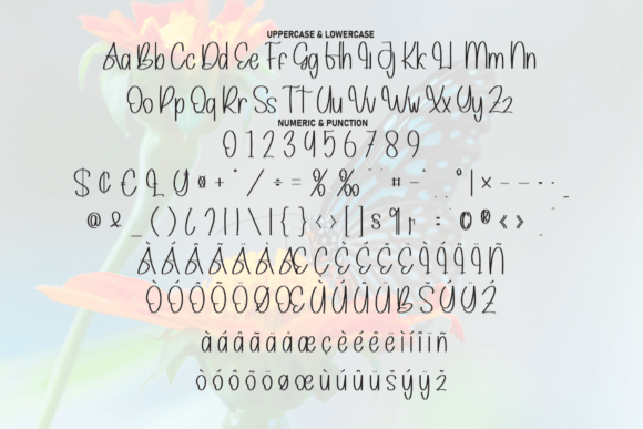 Butterfly Font - Preview 6