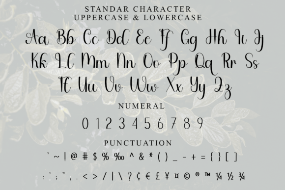 American Signature Font - Preview 6