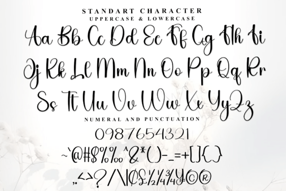 Anytimes Font Font - Preview 4