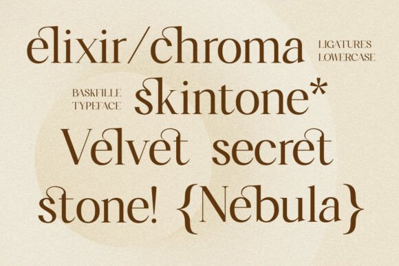 Baskfille Font - Preview 6