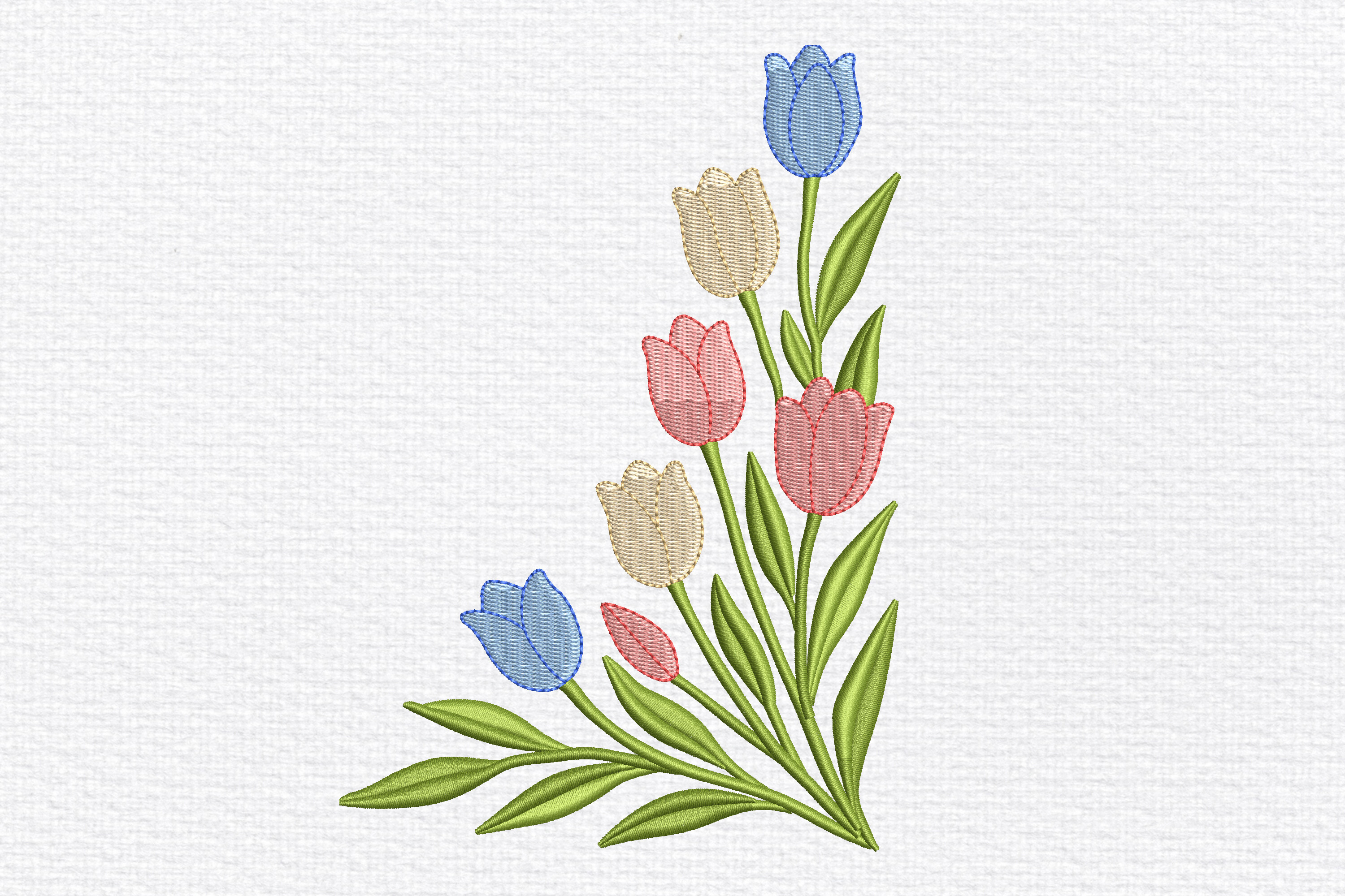 Corner Tulip Flower Border