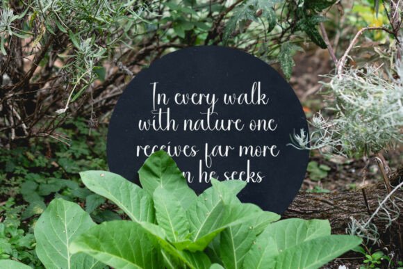 Good Nature Font - Preview 6